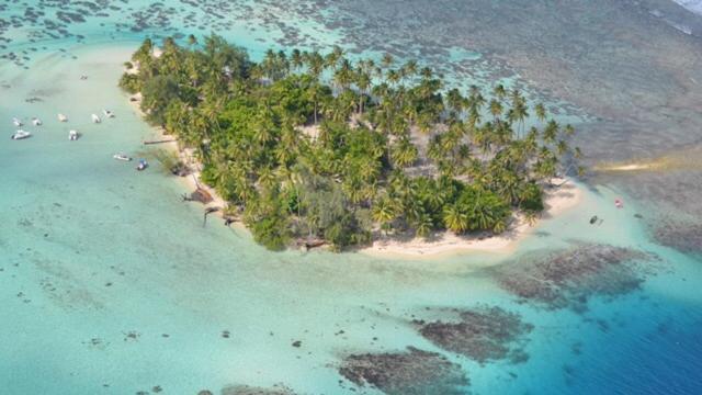 Pension Hibiscus Tahaa Uturoa ภายนอก รูปภาพ